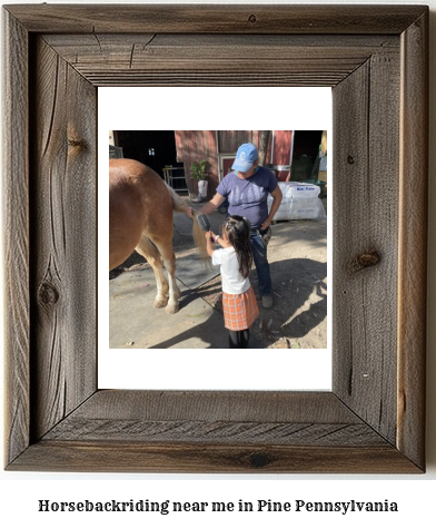 horseback riding near me in Pine, Pennsylvania